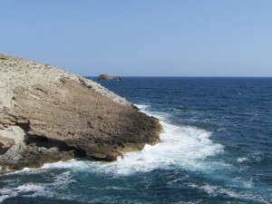 IMG_7437 (Medium)